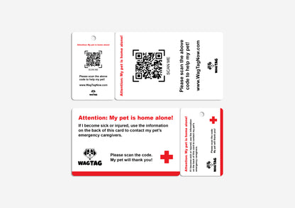 🐾 Duo Pack – 360° Home + Collar Protection