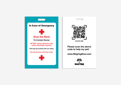 🐾 Duo Pack – 360° Home + Collar Protection