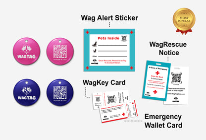 🐾 Duo Pack – 360° Home + Collar Protection