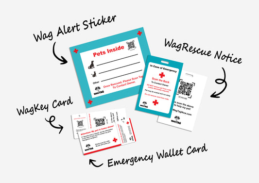 360° Pet Protection Add-On: WagAlert™ Sticker + Emergency Wallet Card